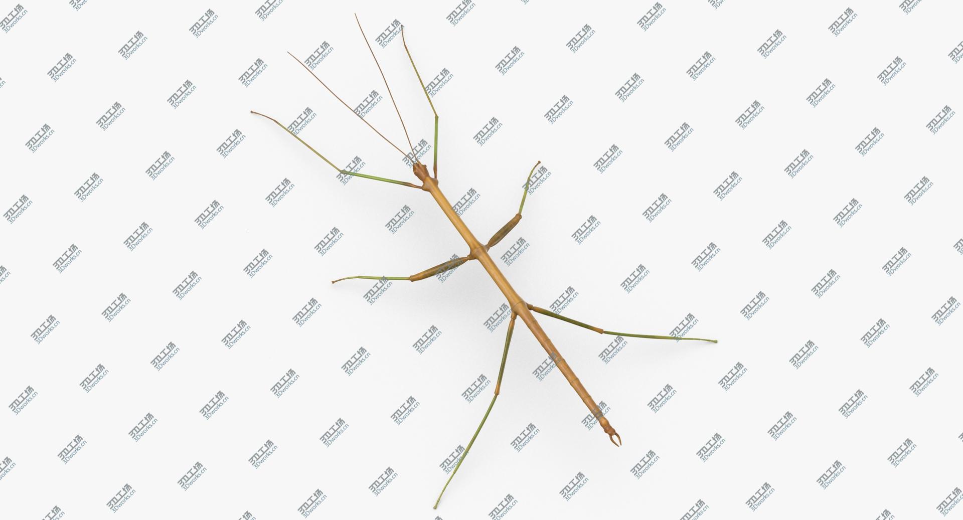 images/goods_img/2021040235/Walkingstick Rigged 3D/1.jpg